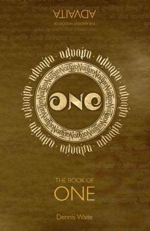 Cover of the book The Book of One by Teresa O'Driscoll