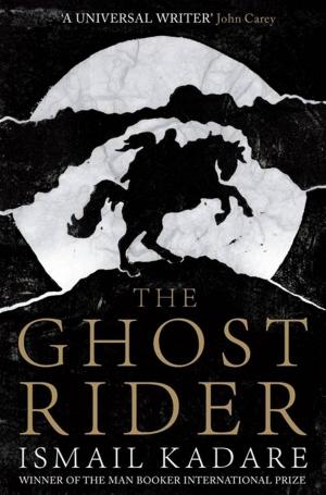 Cover of the book The Ghost Rider by Niccolò Ammaniti
