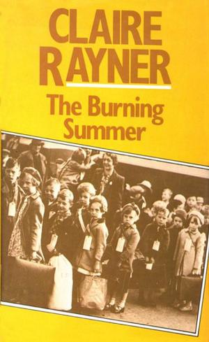 Cover of the book Burning Summer by Tony Broadbent