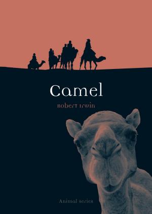 Cover of the book Camel by Maryann Tebben
