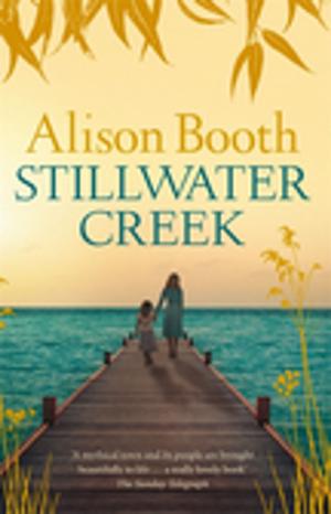 Cover of the book Stillwater Creek by Peter Mitchell
