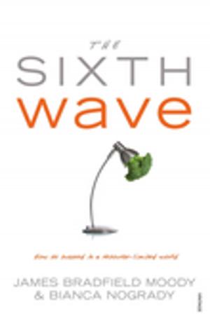 Cover of the book The Sixth Wave by Patrick Loughlin, Glenn Maxwell