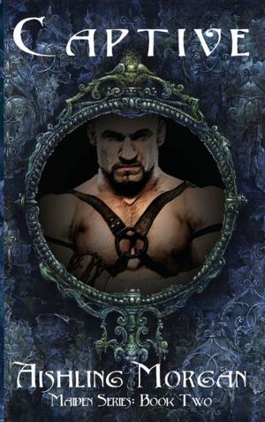 Cover of the book Captive by Mercer Devereaux