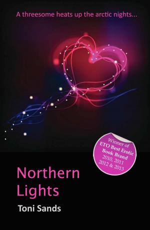 Cover of the book Northern Lights by Abigail Thornton, Jade Taylor, Josie Jordan, Jay Lawrence, Maria Lloyd, Jessie Jo Jones