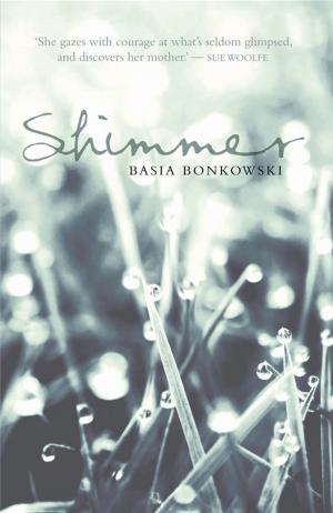 Cover of the book Shimmer by Ekins, Ashley, Stewart, Elizabeth, Burness, Peter