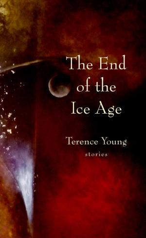 Cover of the book The End of the Ice Age by Anca Rotar