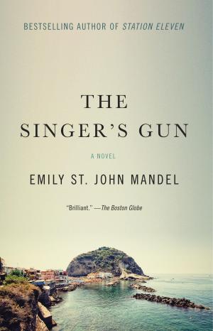 Cover of the book The Singer's Gun by Michael Ondaatje