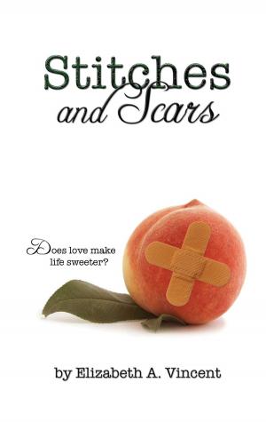 Cover of the book Stitches & Scars by Kim Rodriguez