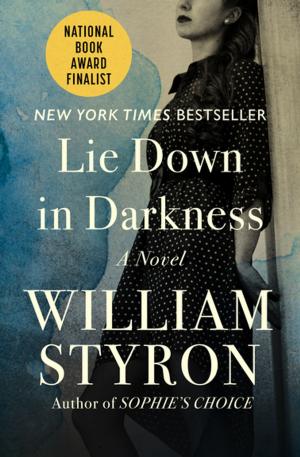 Book cover of Lie Down in Darkness