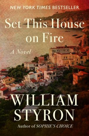 Cover of the book Set This House on Fire by Upton Sinclair