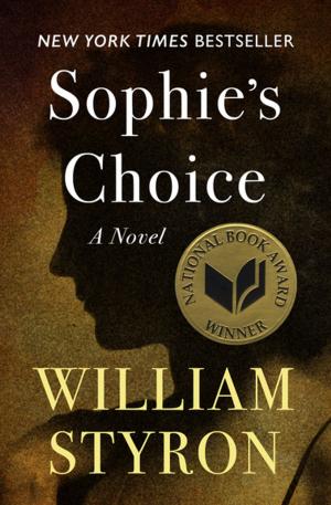 Cover of the book Sophie's Choice by Dixiane Hallaj