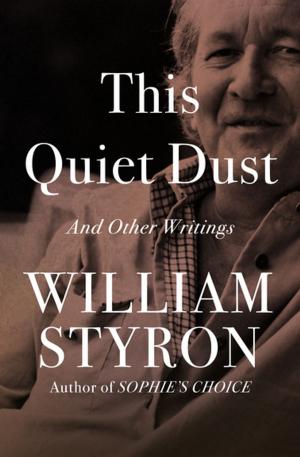 bigCover of the book This Quiet Dust by 