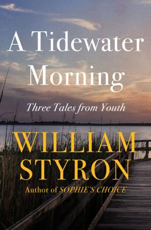 Cover of the book A Tidewater Morning by Bradford Morrow