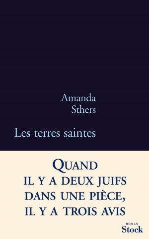 Cover of the book Les terres saintes by Xavier Mauduit, Laure de Chantal