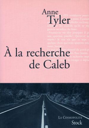 Cover of the book A la recherche de Caleb by Justine Lévy