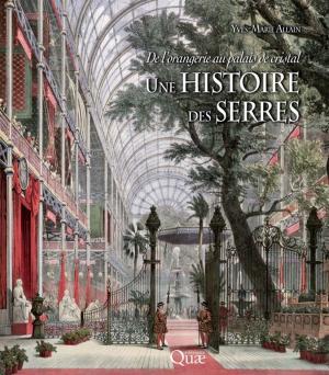Cover of the book De l'orangerie au palais de cristal, une histoire des serres by Jean-François Samain, Helen McCombie
