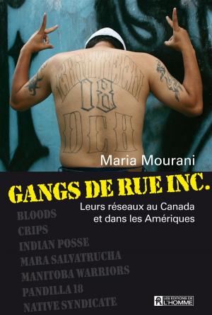 Cover of the book Gangs de rue inc. by Serge Cabana