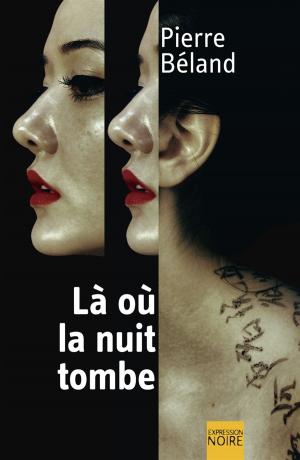 Cover of the book Là où la nuit tombe by Nathalie Roy