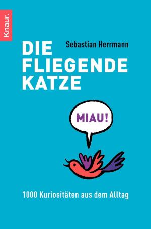 Book cover of Die fliegende Katze