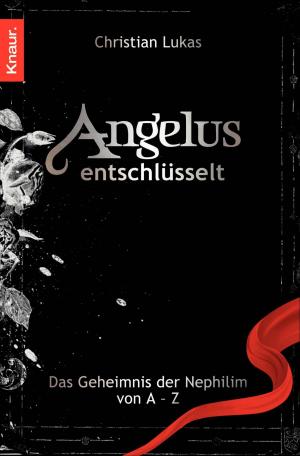 Cover of the book Angelus entschlüsselt by Simone Buchholz