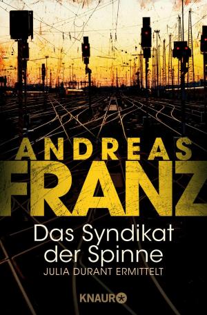 Book cover of Das Syndikat der Spinne