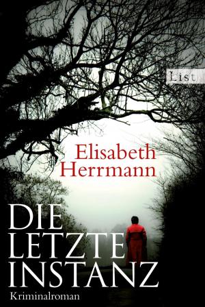 bigCover of the book Die letzte Instanz by 