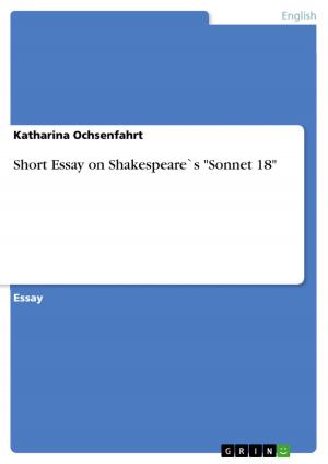 Book cover of Short Essay on Shakespeare`s 'Sonnet 18'