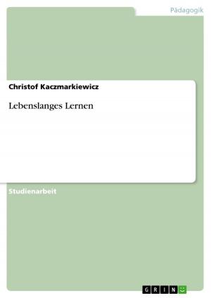 Cover of the book Lebenslanges Lernen by Kamila Urbaniak