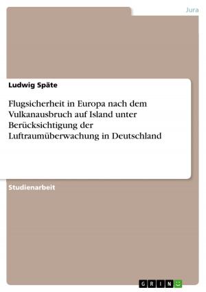 Cover of the book Flugsicherheit in Europa nach dem Vulkanausbruch auf Island unter Berücksichtigung der Luftraumüberwachung in Deutschland by Rob Clewley