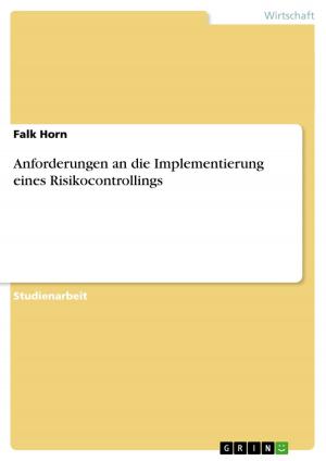 Cover of the book Anforderungen an die Implementierung eines Risikocontrollings by Ralf Zinke