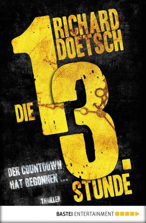 Cover of the book Die dreizehnte Stunde by Jack Slade
