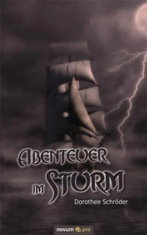 Cover of Abenteuer im Sturm