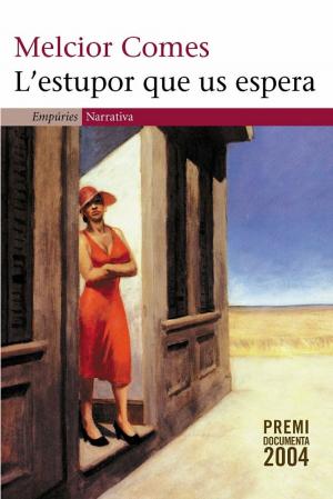 Cover of the book L'estupor que us espera by Màrius Serra.
