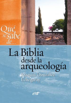 Cover of the book Qué se sabe de... La Biblia desde la arqueología by Norbert Reck