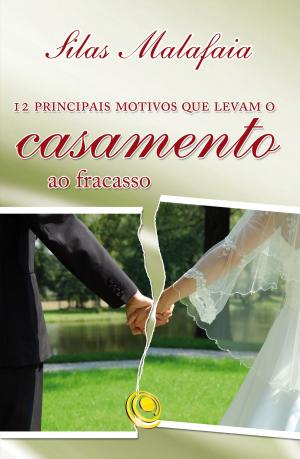 Book cover of 12 principais motivos que levam o casamento ao fracasso