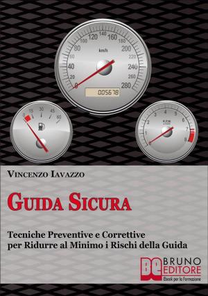 Cover of the book Guida Sicura by IVAN MAURIZZI