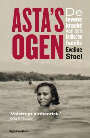 Cover of the book Asta's ogen by Maarten 't Hart