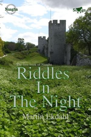 Cover of the book Riddles In The Night by Andrea Clinton