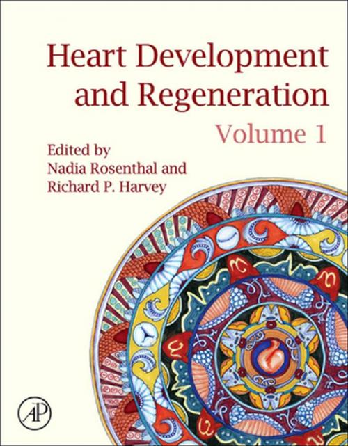 Cover of the book Heart Development and Regeneration by , Elsevier Science