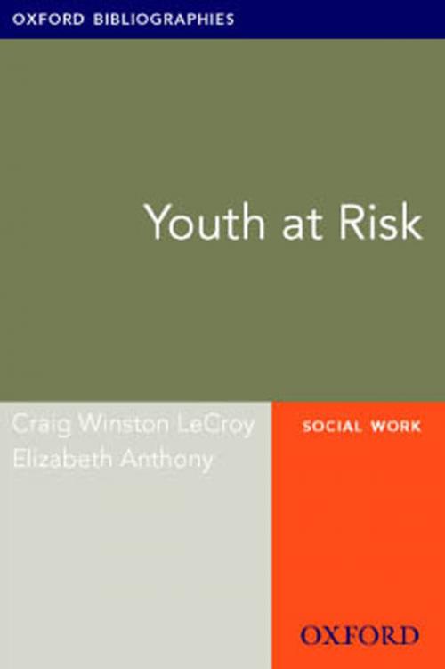 Cover of the book Youth at Risk: Oxford Bibliographies Online Research Guide by Craig Winston LeCroy, Elizabeth Anthony, Oxford University Press