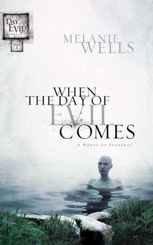 Cover of the book When the Day of Evil Comes (Day of Evil Series #1) by Melanie Wells, The Crown Publishing Group