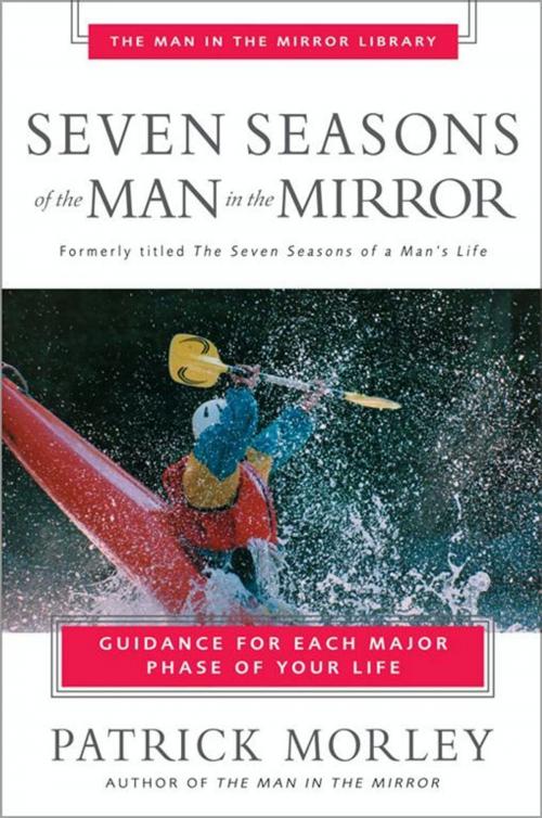 Cover of the book Seven Seasons of the Man in the Mirror by Patrick Morley, Zondervan