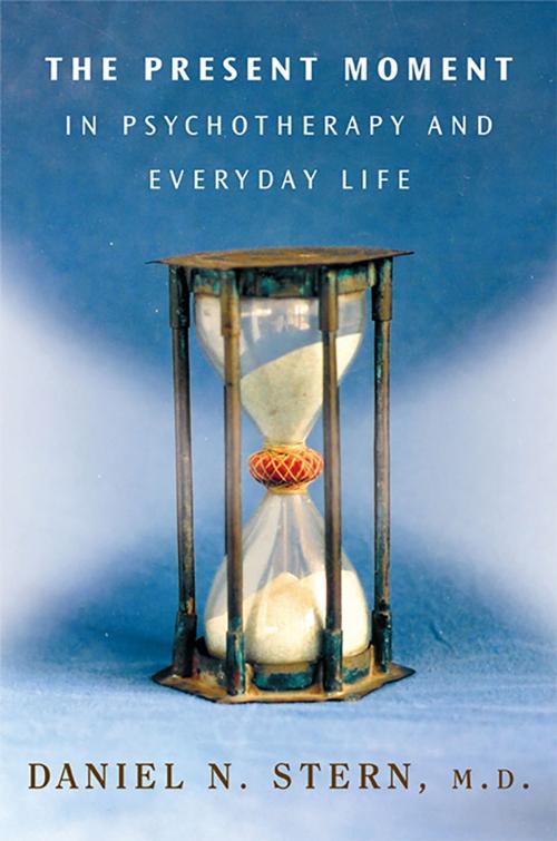 Cover of the book The Present Moment in Psychotherapy and Everyday Life (Norton Series on Interpersonal Neurobiology) by Daniel N. Stern, W. W. Norton & Company