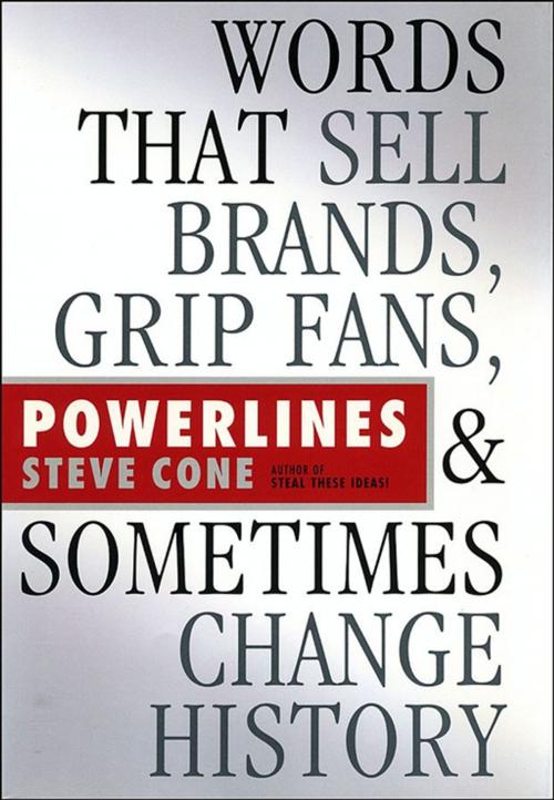 Cover of the book Powerlines by Steve Cone, Wiley