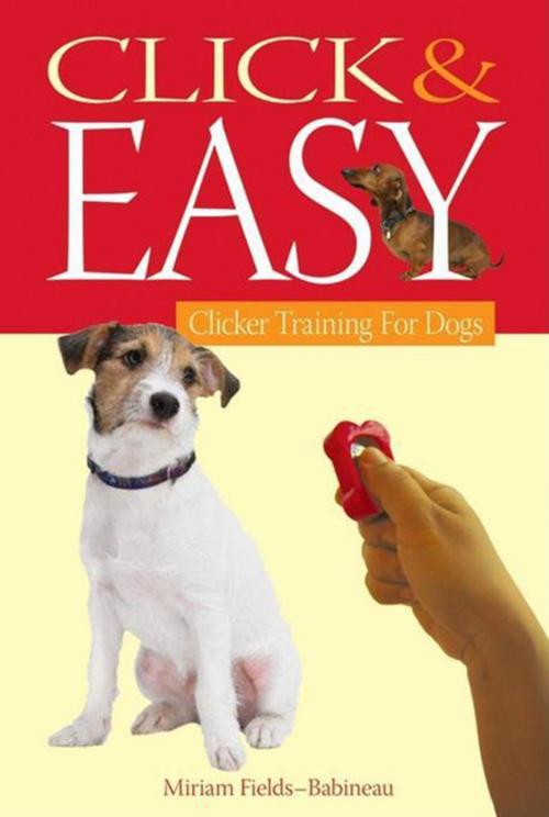 Cover of the book Click & Easy by Miriam Fields-Babineau, Evan Cohen, Turner Publishing Co.
