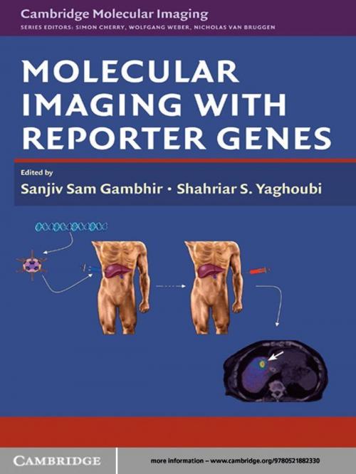 Cover of the book Molecular Imaging with Reporter Genes by Sanjiv Sam Gambhir, Shahriar S. Yaghoubi, Cambridge University Press