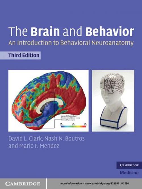 Cover of the book The Brain and Behavior by David L. Clark, Nash N. Boutros, Mario F. Mendez, Cambridge University Press