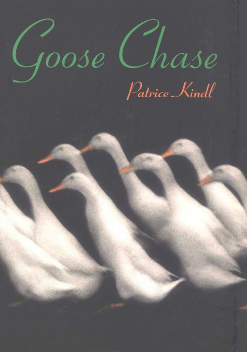 Cover of the book Goose Chase by Patrice Kindl, HMH Books