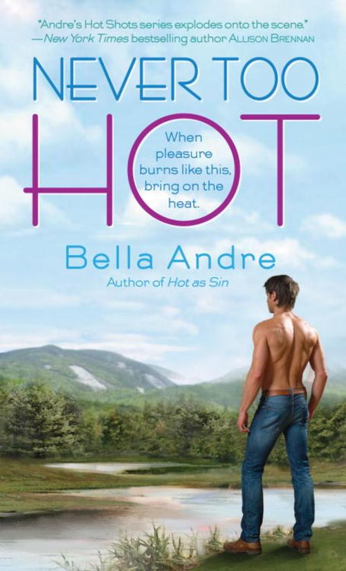 Cover of the book Never Too Hot by Bella Andre, Random House Publishing Group