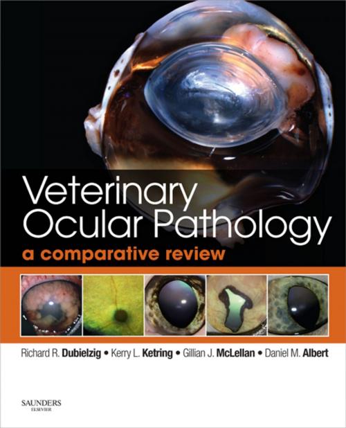 Cover of the book Veterinary Ocular Pathology by Richard R. Dubielzig, Kerry L. Ketring, Gillian J McLellan, Daniel M. Albert, Elsevier Health Sciences UK